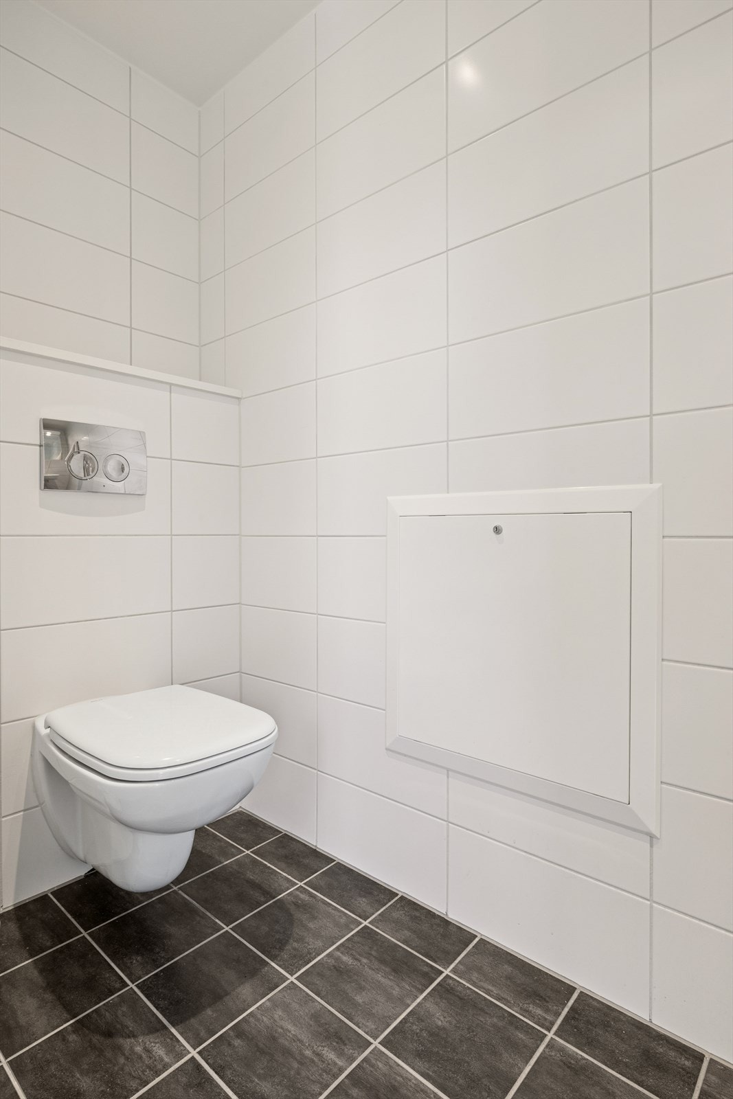 Praktisk separat wc med adkomst fra entreen. Galleribilde