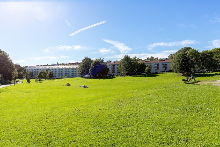 Fantastiske forhold i parken. Galleribilde