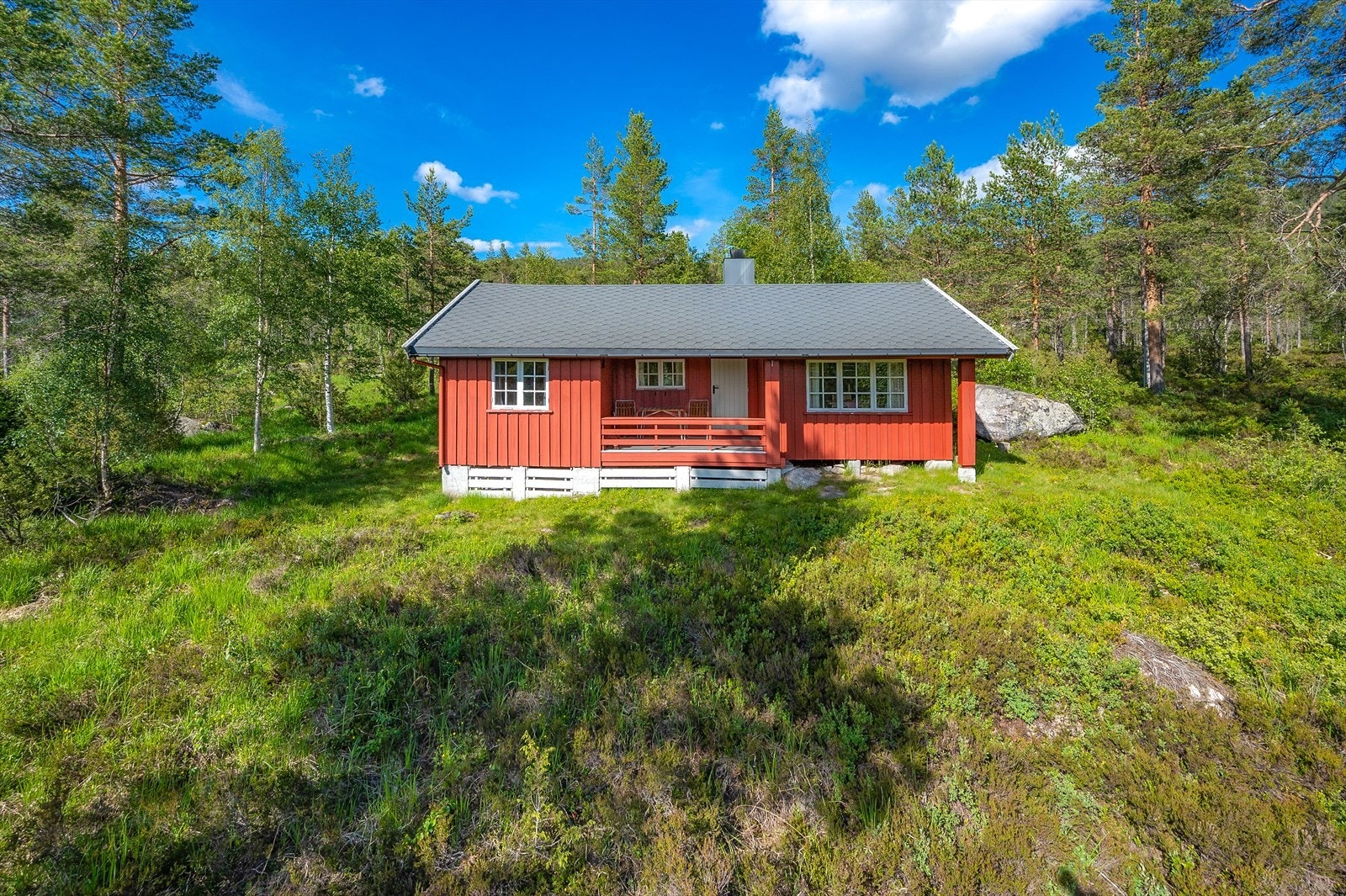 Frittliggende hytte i skogsterreng Galleribilde