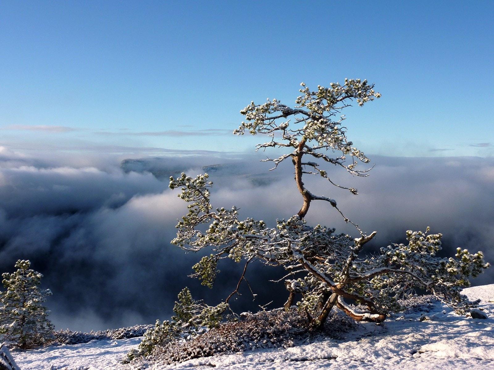 Bilde fra nærområdet - ca. 1/2 times gangavstand fra hytta Galleribilde