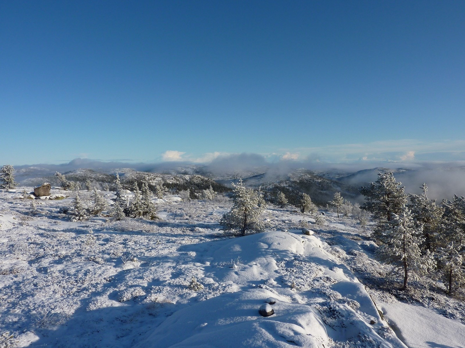 Bilde fra nærområdet - ca. 1/2 times gangavstand fra hytta - Galleribilde