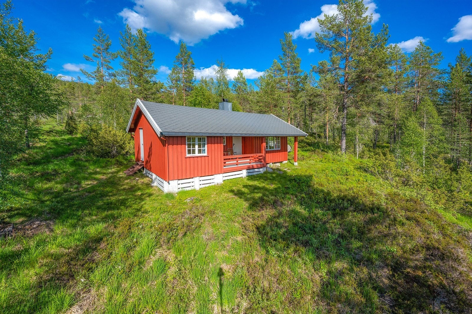 Frittliggende hytte i skogsterreng Galleribilde