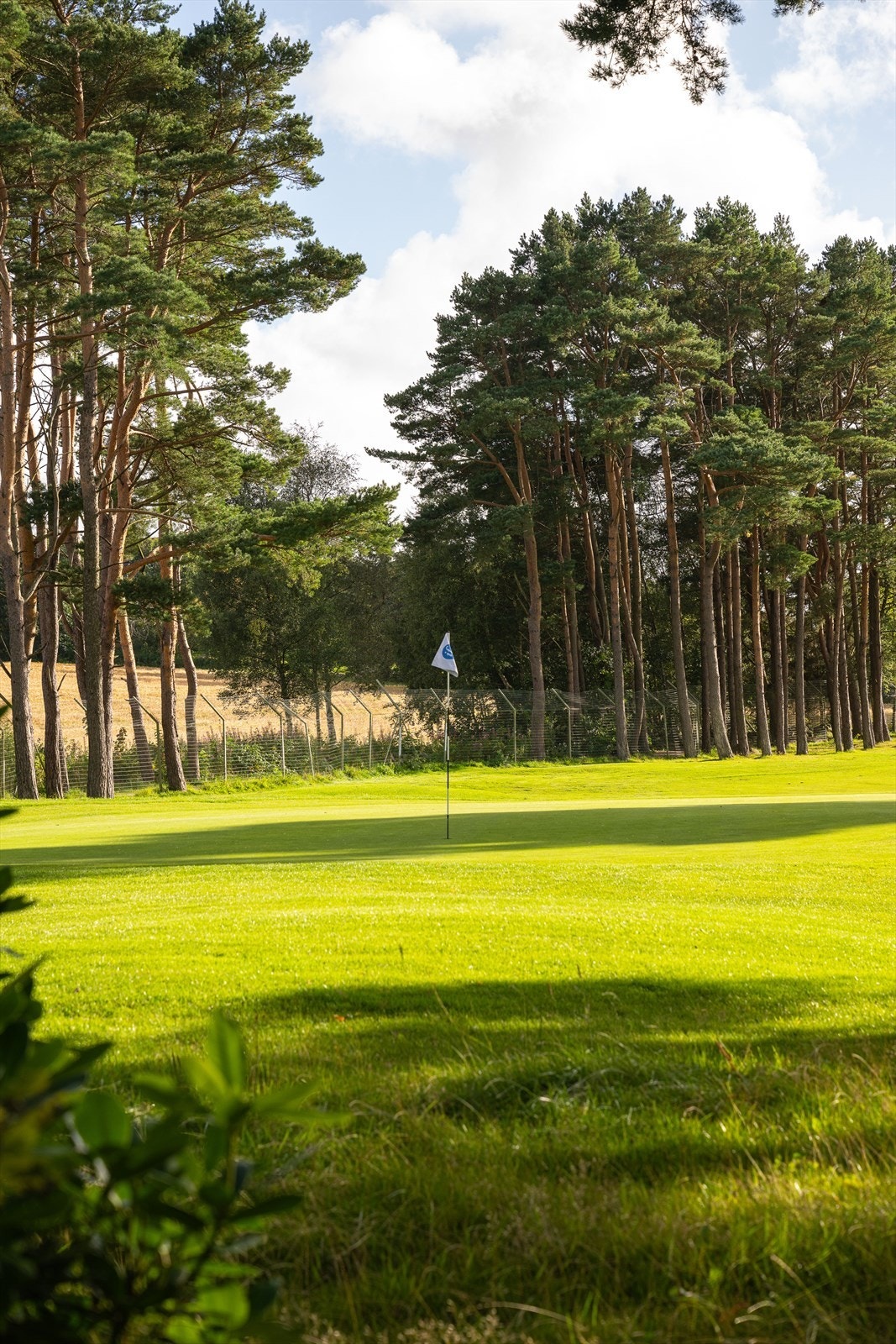 En gåtur unna finner man Stavanger Golfklubb og Store Stokkavatn. Galleribilde