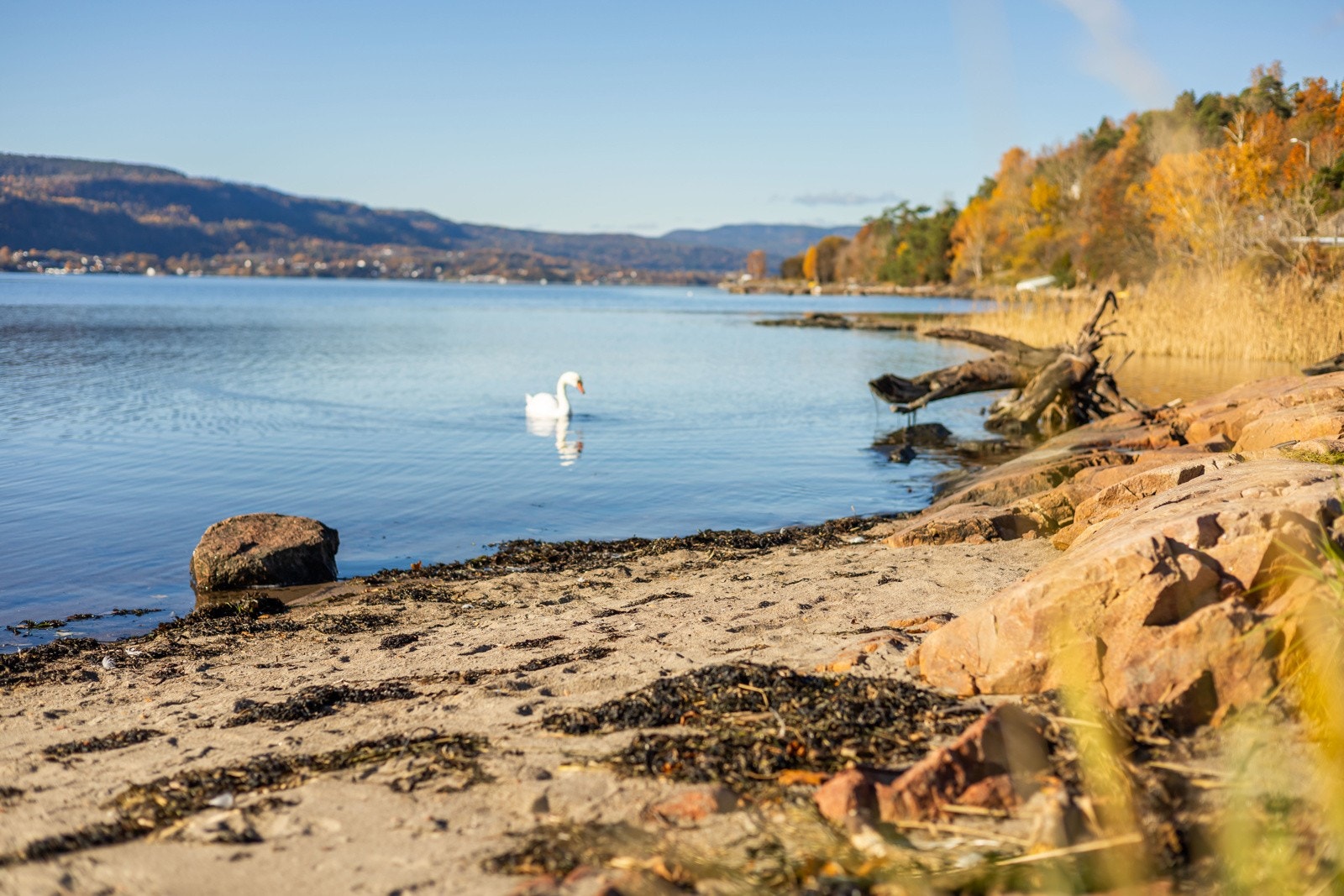 Nydelig strandlinje like ved boligen. Nyt roen, sjøluften og naturen i vakre omgivelser. Galleribilde