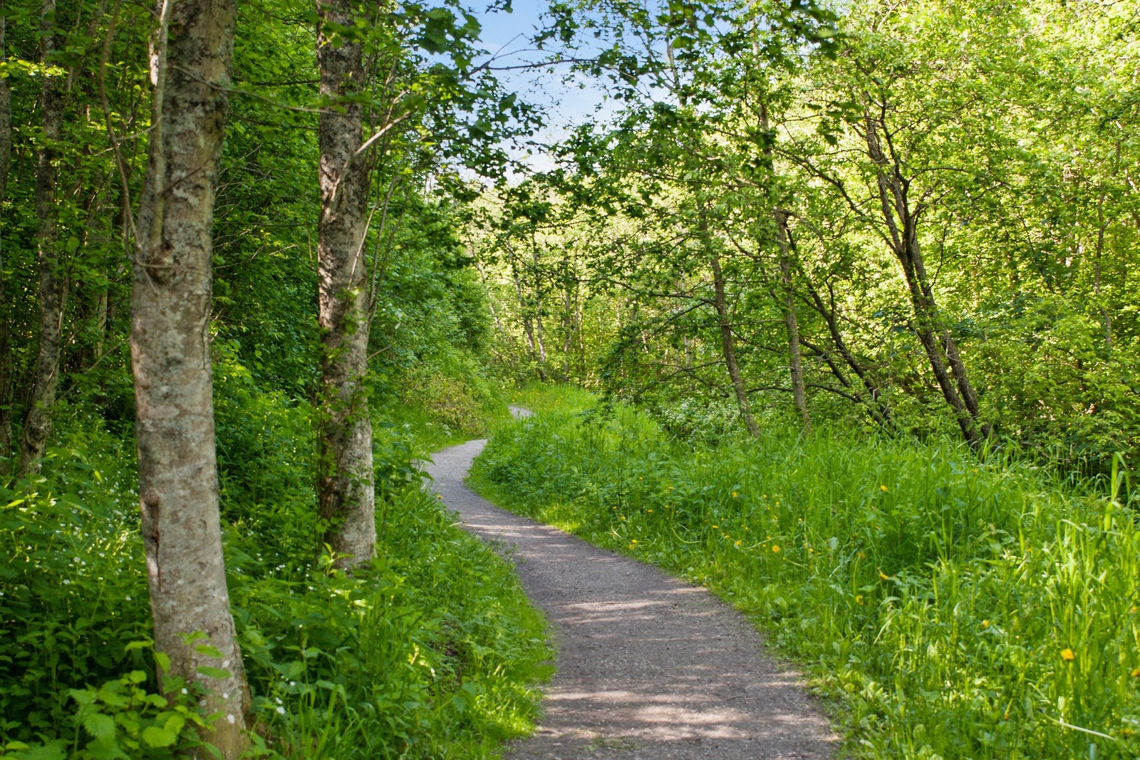 Brundalen er et område med nærhet til flere skoler/barnehager, dagligvareforretninger, turområder og idrettsplasser. Galleribilde