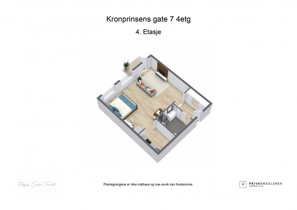 3D plantegning Galleribilde