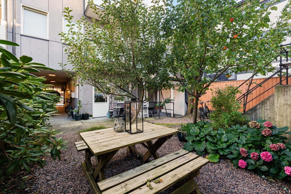 Trivelig bakgård som kan benyttes av beboere. Her er det også sykkelparkering. Galleribilde