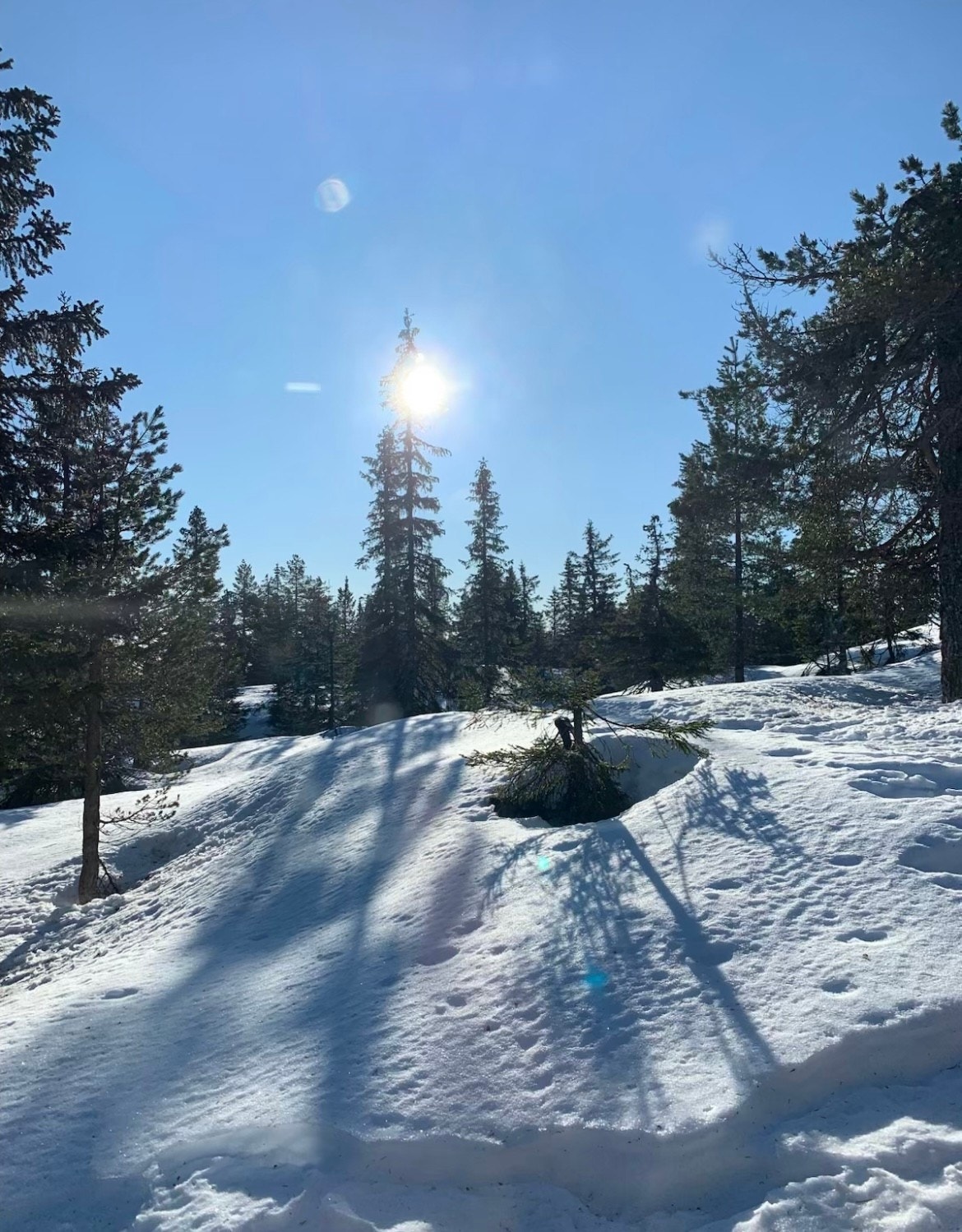 Vinterstemning i Seterliveien 35. Galleribilde