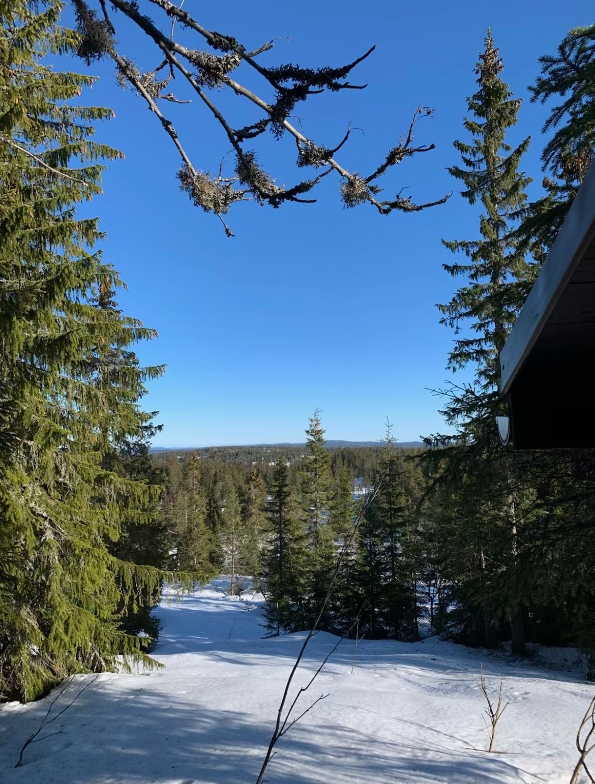 Vinterstemning i Seterliveien 35. Galleribilde