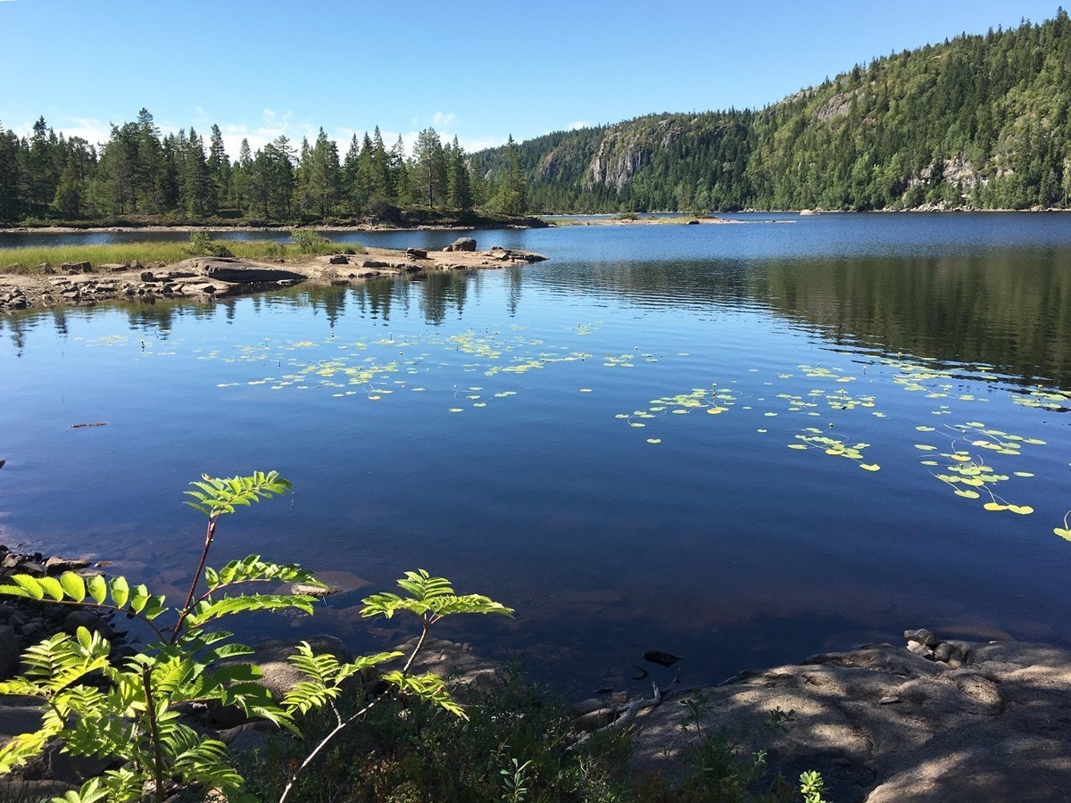 På Sommerstid er det flere idylliske badevann, gode fiskemuligheter (med fiskekort), hvor skogen bugner av bær og sopp de rette årstidene. Galleribilde