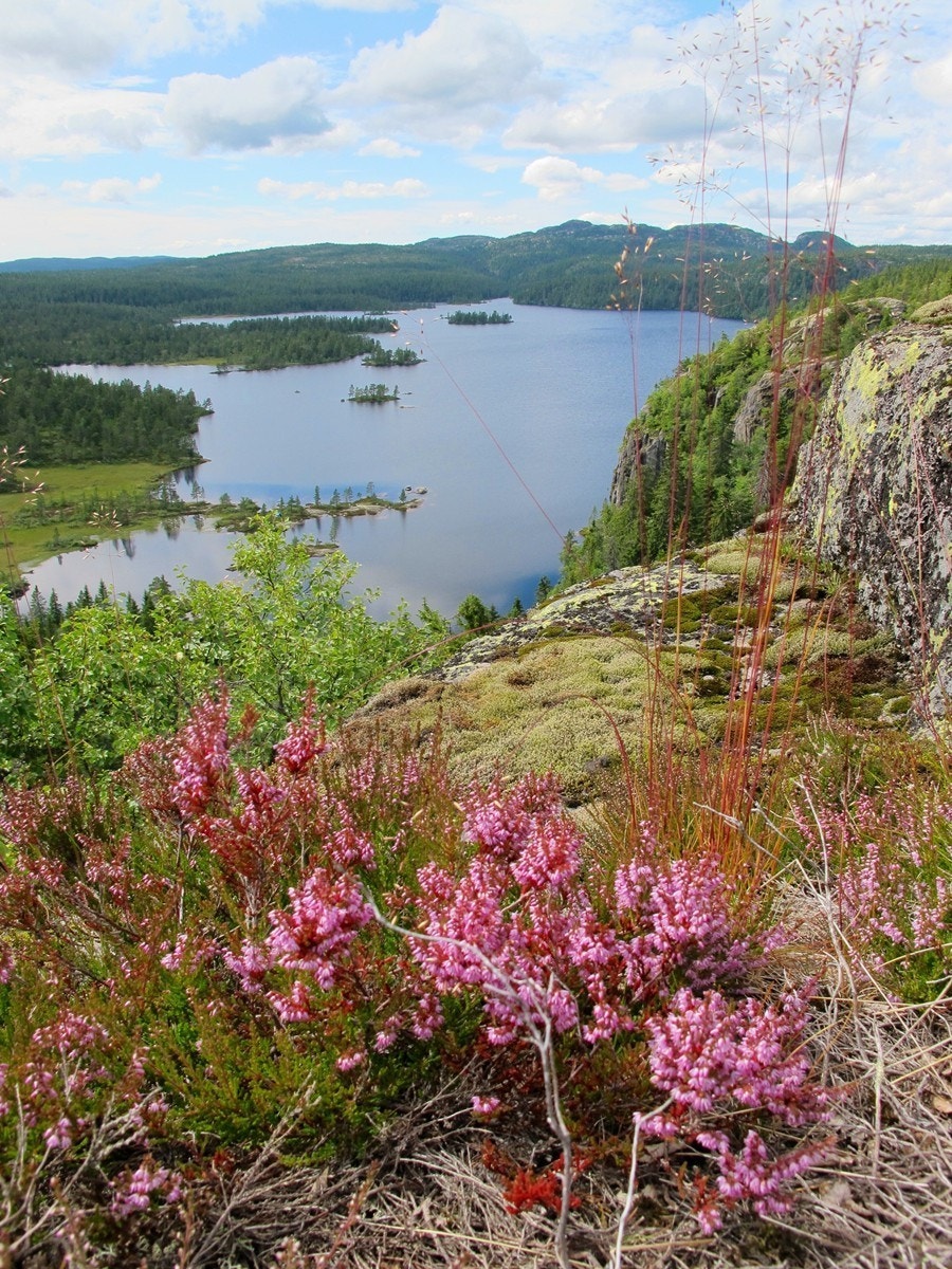 Det er et omfattende merket løypenett, både sommer og vinter. Her kan hele familien gå flotte turer. Galleribilde