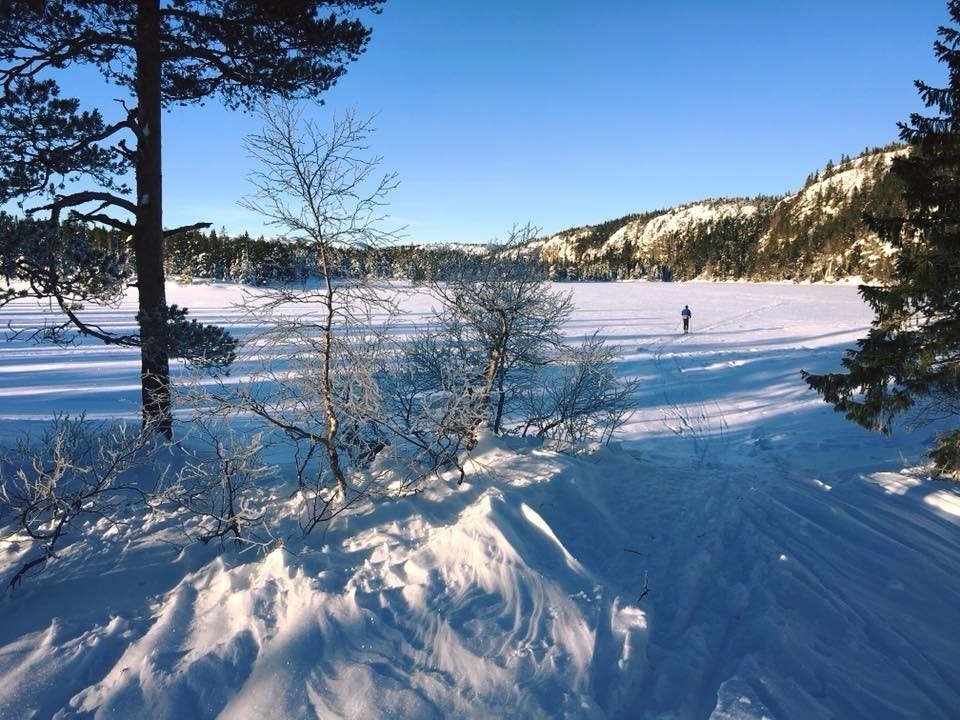 Skiterrenget på Skrim er eventyrlig og området byr på mer enn ca. 60 kilometer med preparerte løyper. Galleribilde