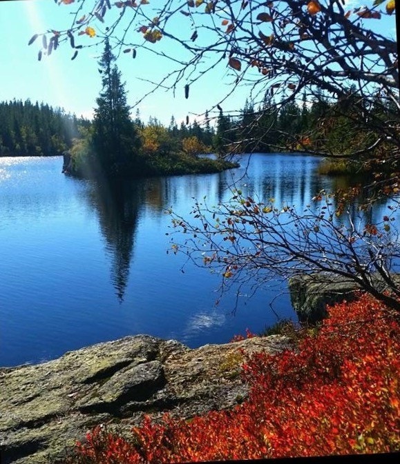 Skrim sine fremste fasiliteter er flotte turterreng, vakker natur og naturens stillhet, perfekt for avkobling fra en hektisk hverdag. Galleribilde
