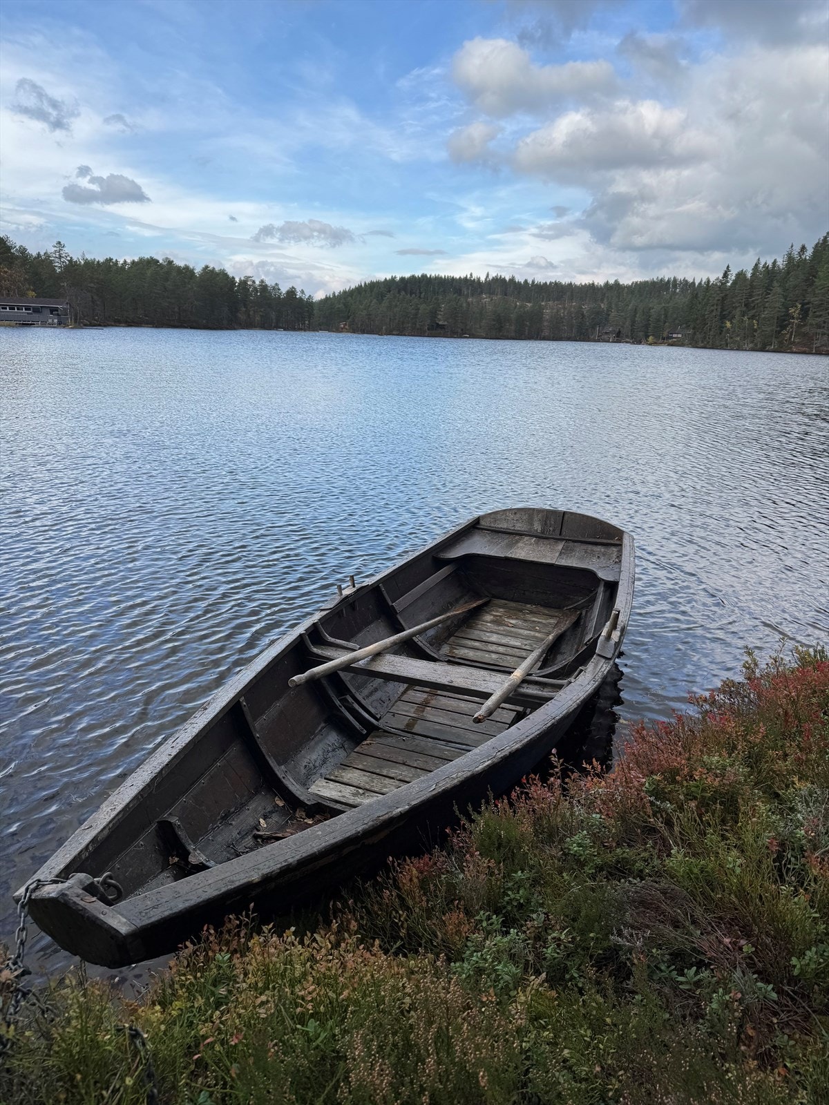 Robåt medfølger Galleribilde
