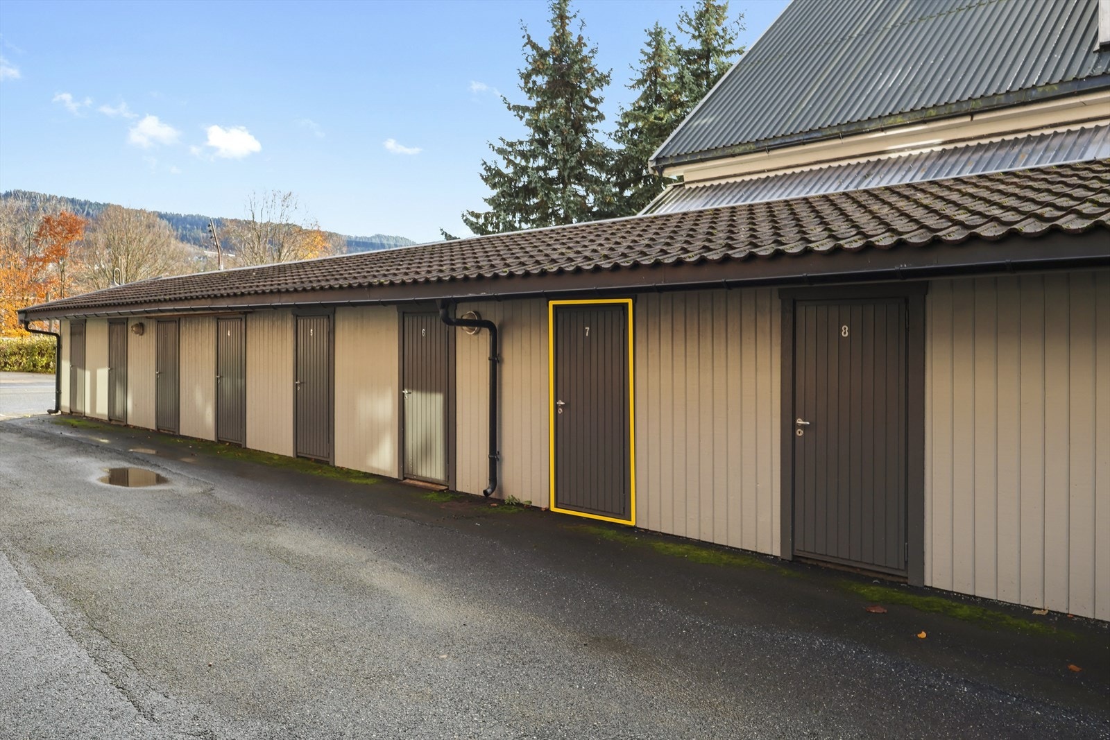 Sportsbod Galleribilde