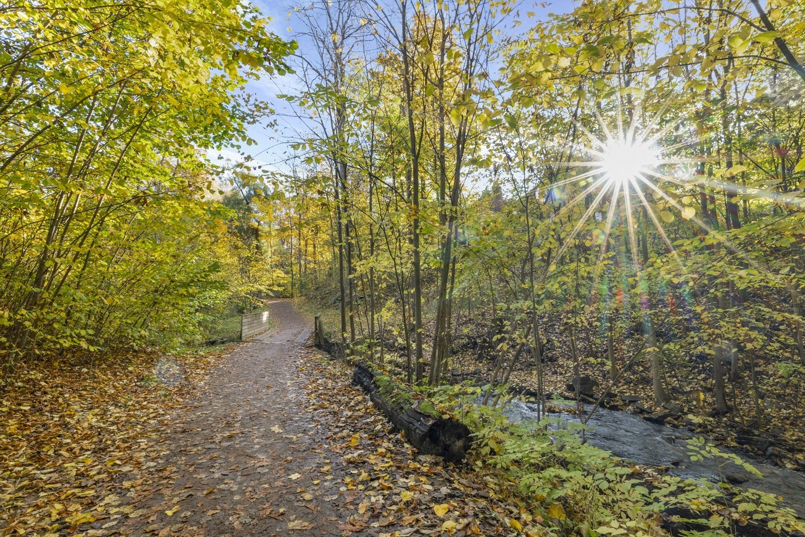 Kort gangavstand oppover langs Frognerelva til Frognerparken og Vigelandsanlegget Galleribilde