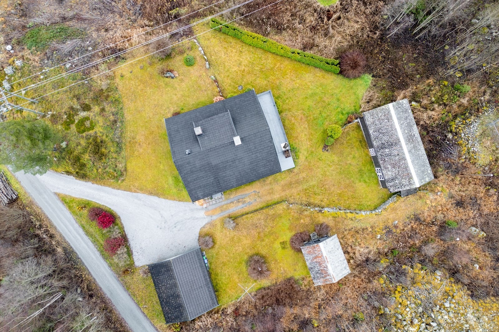 Hyggelig tun Galleribilde