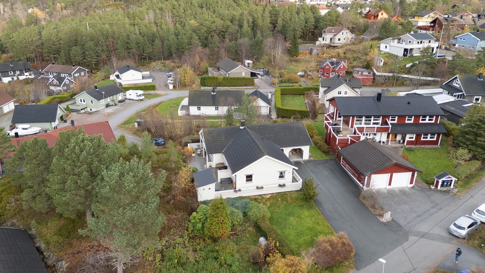 Dronefoto over nærområdet. Galleribilde
