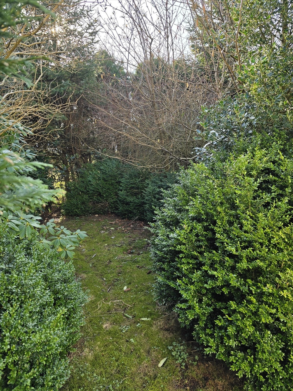 En ypperlig hage med rom for boltreplass for liten og stor. Galleribilde