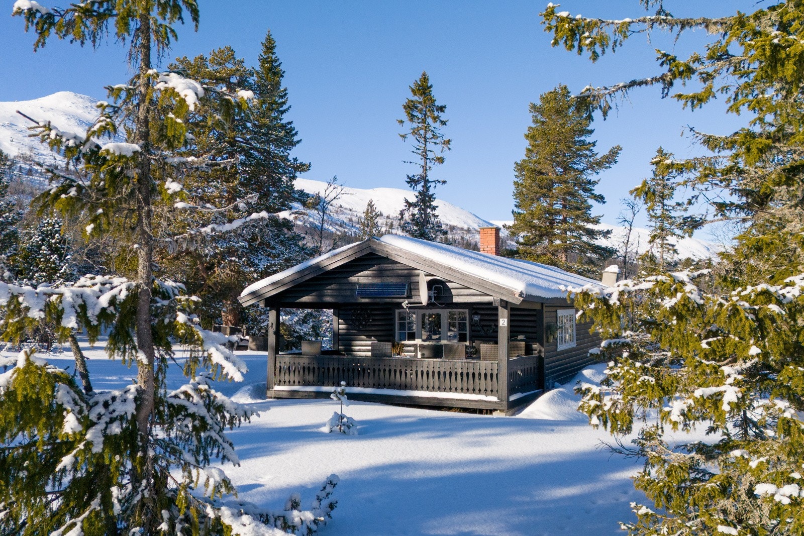 Velkommen til Nedre Reinsjøfjell, ditt nye fristed. Galleribilde