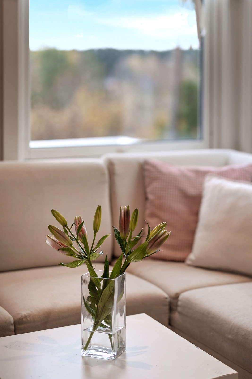 Gjennomgående lyse overflater og panel på veggene skaper en klassisk hyttestemning. Galleribilde