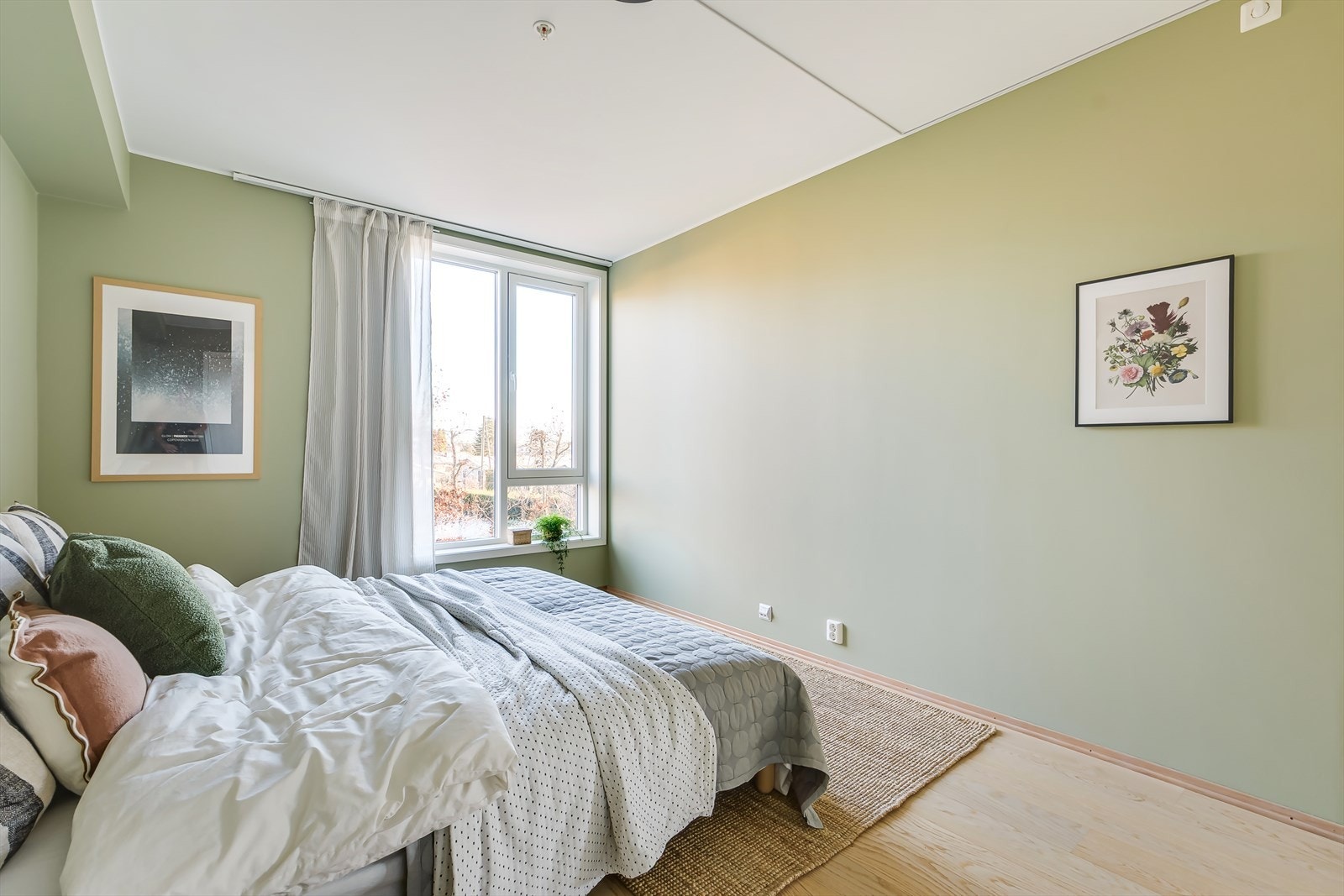 Et hyggelig vindu med naturlig lysinnslipp. Galleribilde