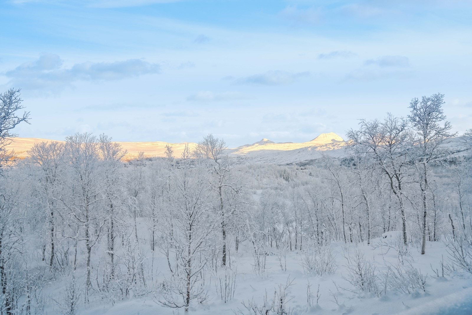Nydelig utsikt Galleribilde