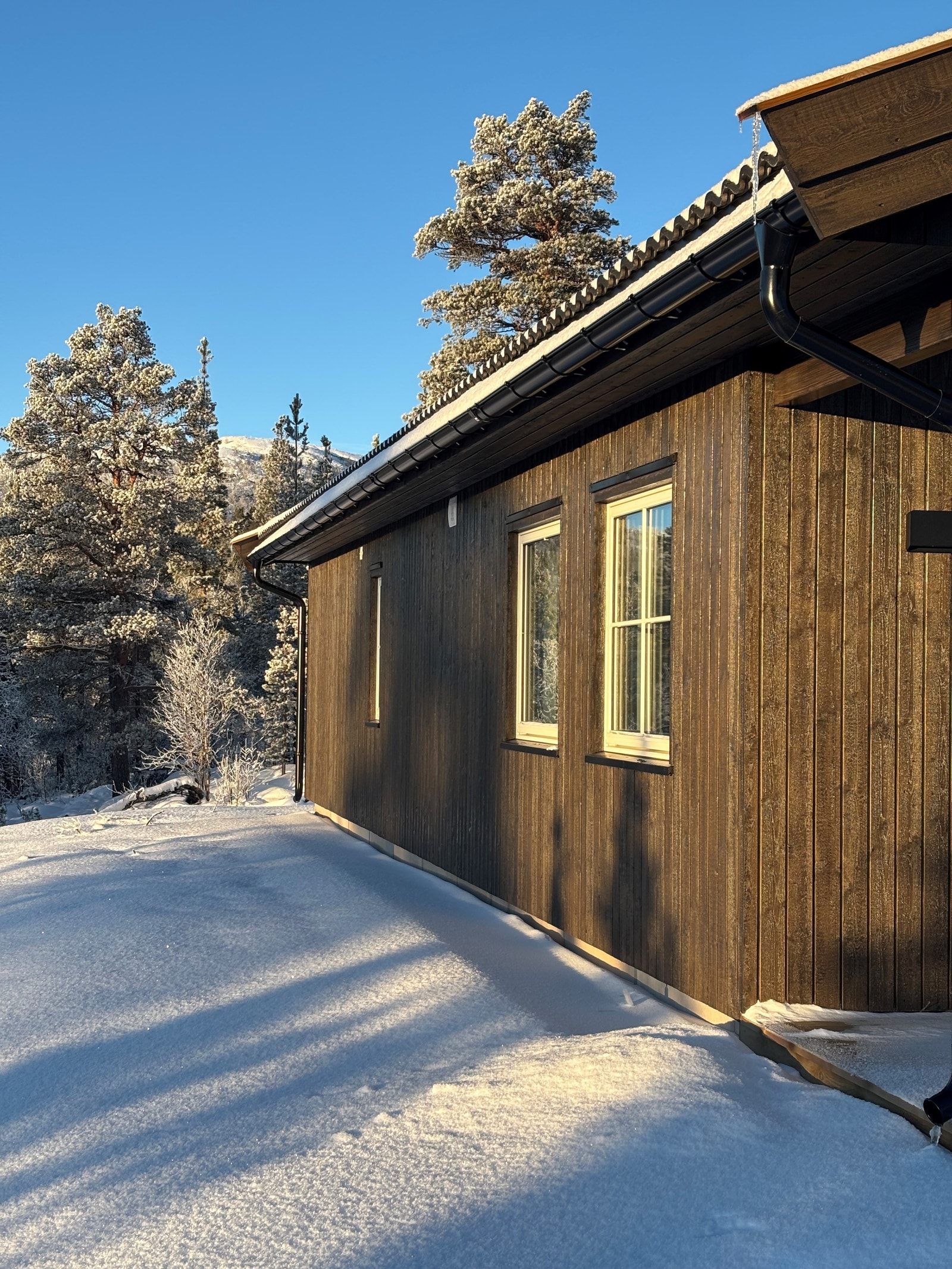 Du slipper å tenke på beising til sommeren - vi har gjort det for deg! Galleribilde