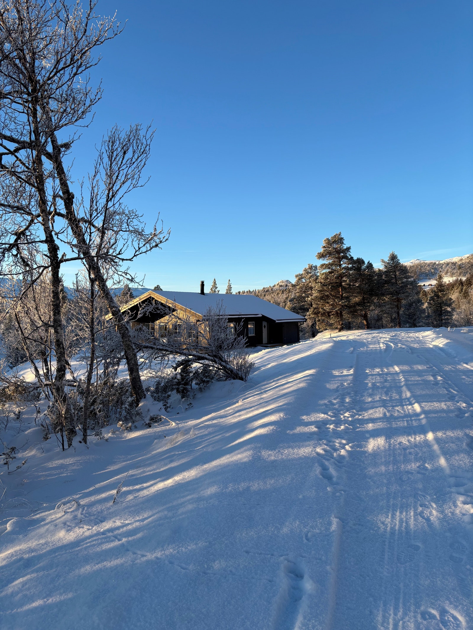 Hytta har lun beliggenhet rett på nedsiden av skiløypene Galleribilde