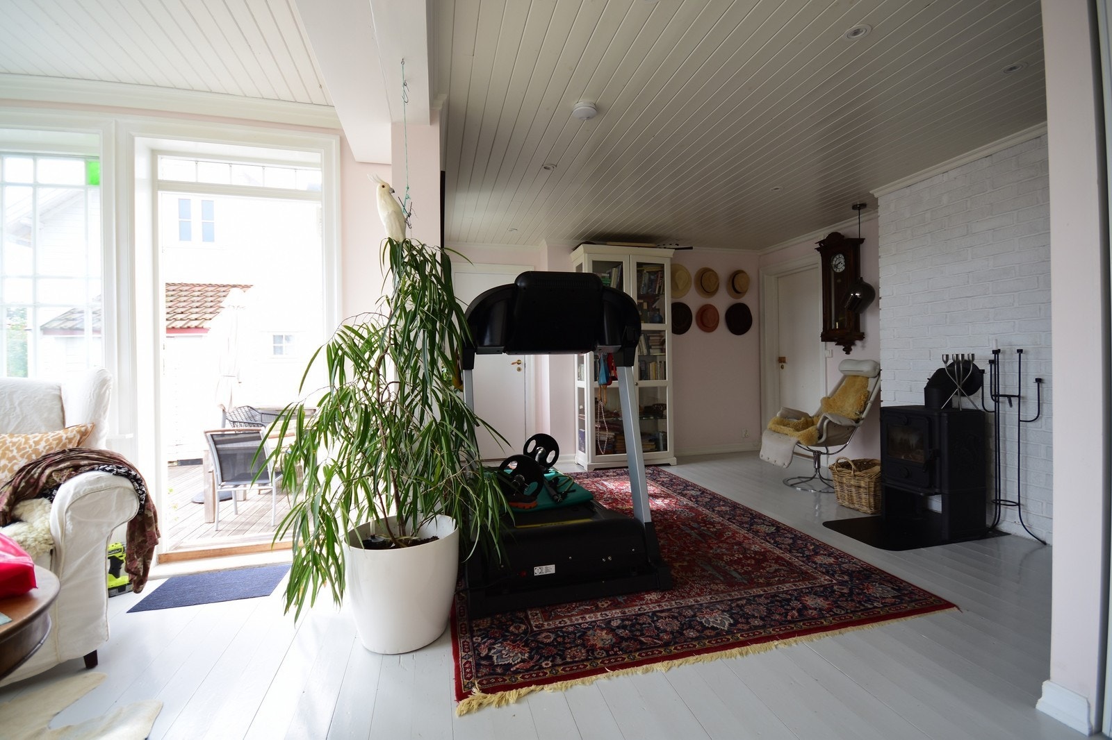 Allrom med peis. Galleribilde