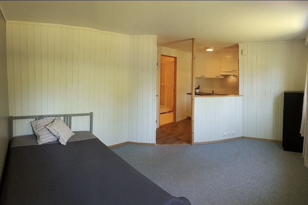 Nyoppusset i 2018 Galleribilde