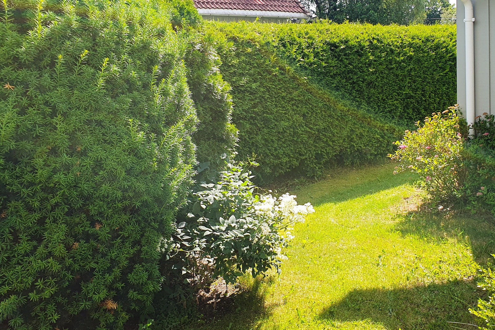 Private bilder Galleribilde