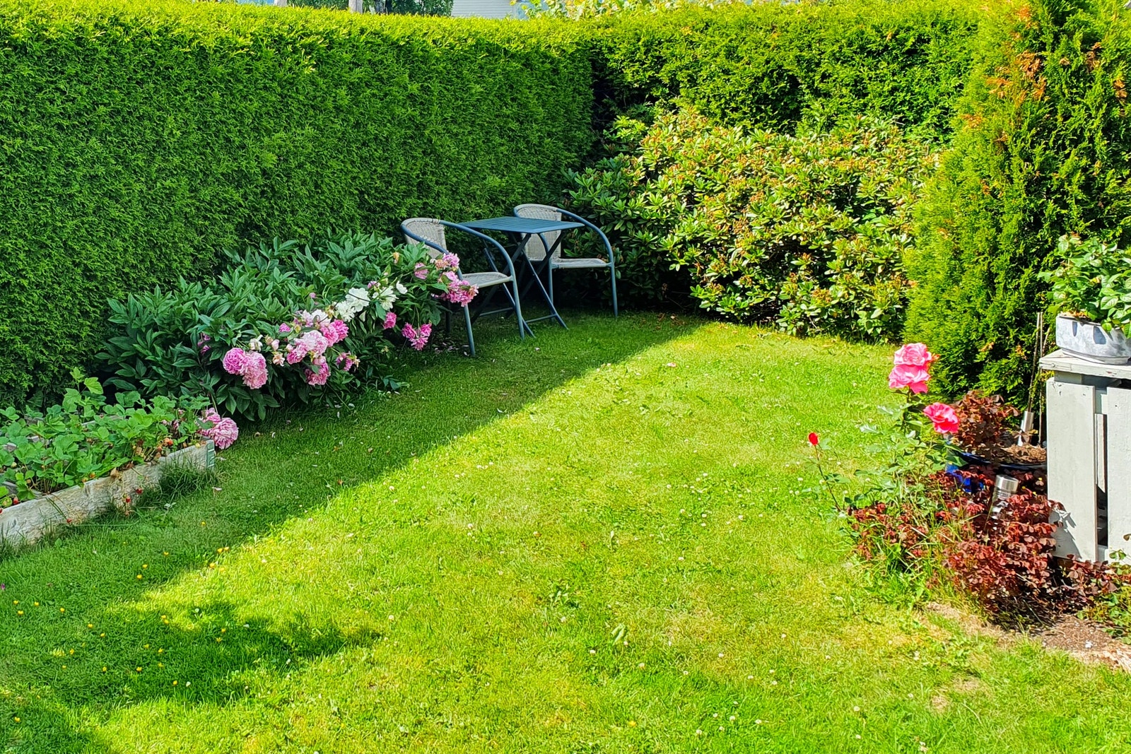 Private bilder Galleribilde