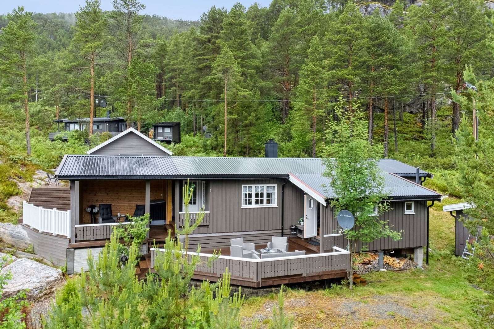 Velkommen til visning! Galleribilde