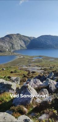 Selgers private bilder. Galleribilde