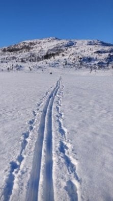 Selgers private bilder - Skitur på Sandvatnet. Galleribilde
