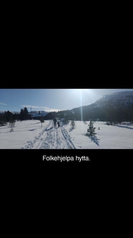 Selgers private bilder. Galleribilde