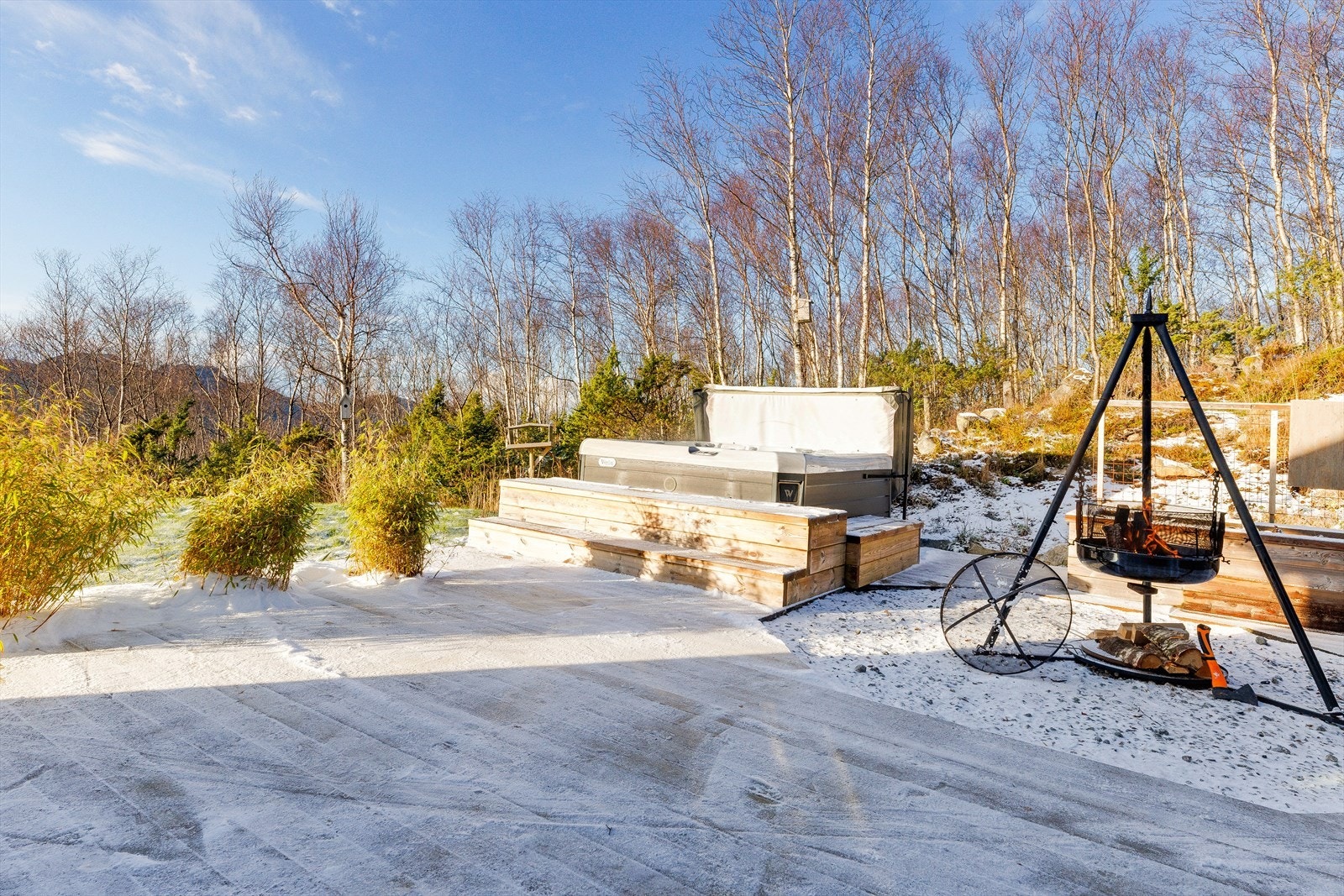 Fine bambusbusker som holder seg fint gjennom året og som skaper en spennende og eksotisk kontrast mellom terrasseog hage. Galleribilde