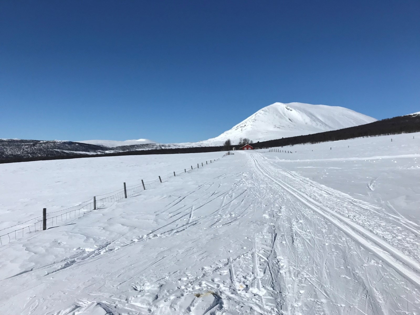 Kort vei til fantastisk skiterreng på Breistulen. Galleribilde