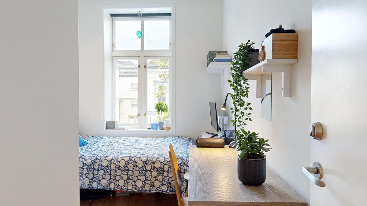 ROM 202 Galleribilde