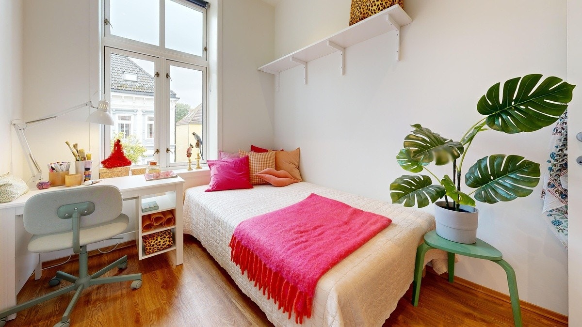 ROM 204 Galleribilde