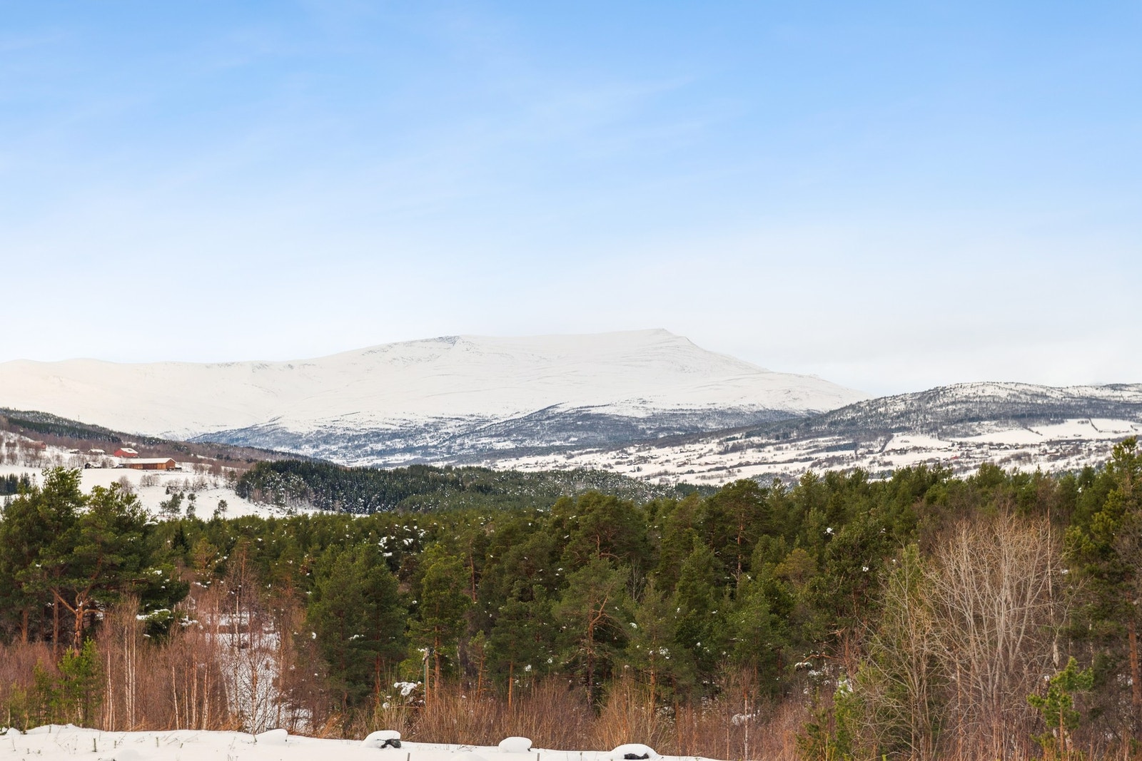 Utsikt fra takterrassen. Galleribilde