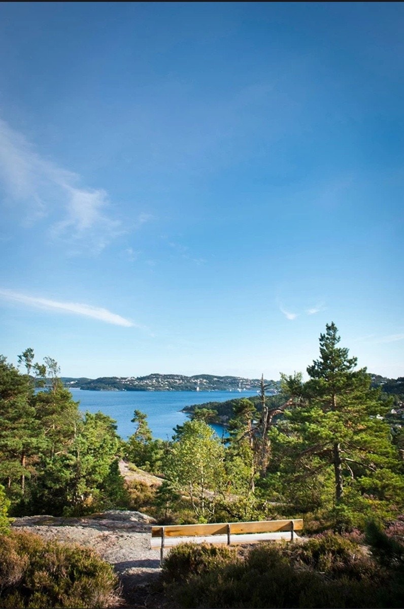 Nærområde Galleribilde