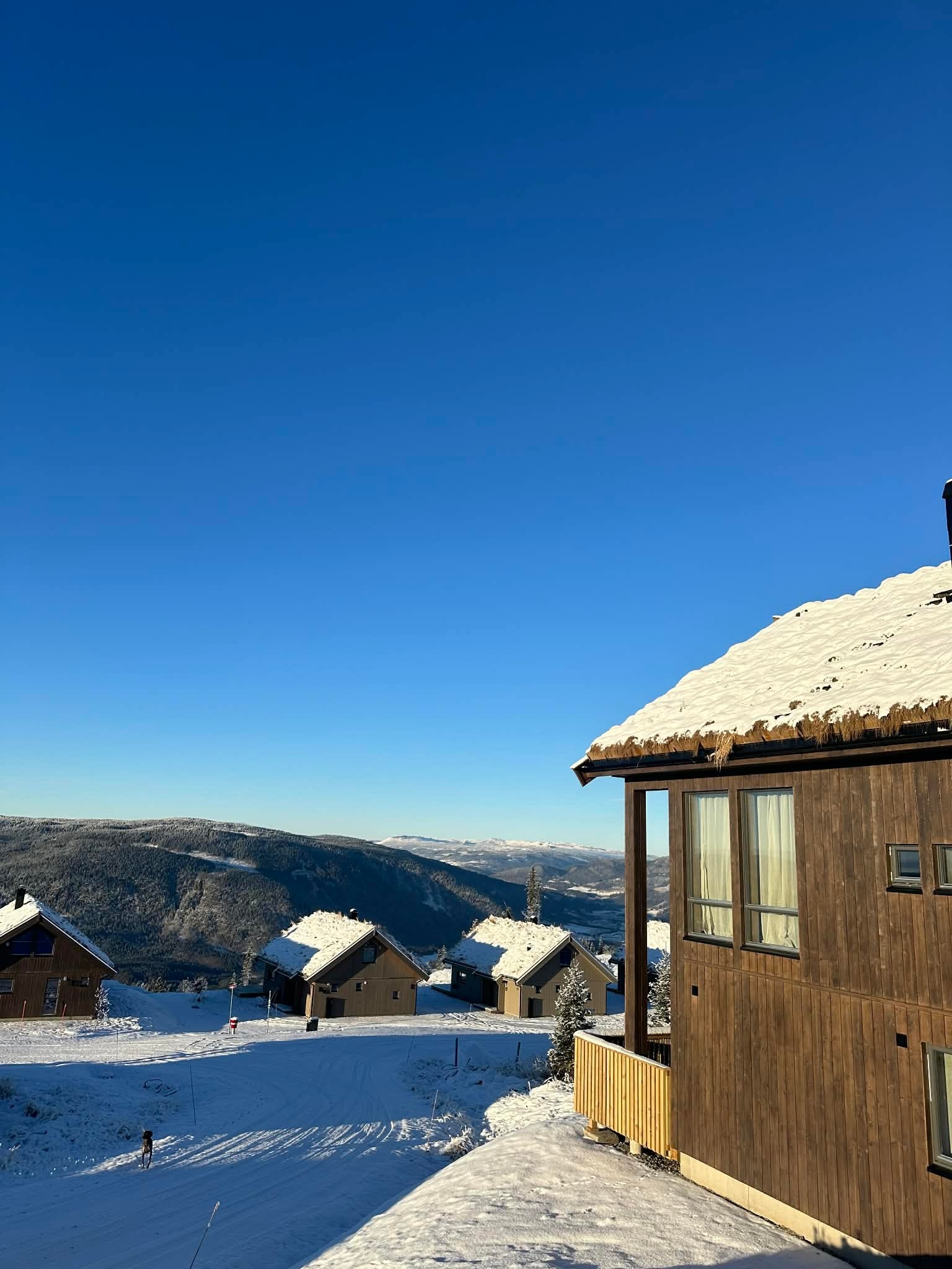 Panoramautsikt fra våre innflyttingsklare Lodgehytter i Storsteinlia. Pris fra 6.500 000kr Galleribilde
