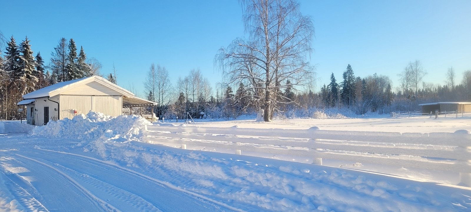 Like vakker på sommeren som på vinteren. Galleribilde