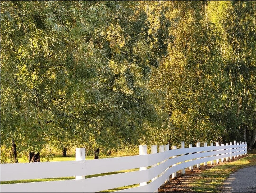 Idyllisk... Galleribilde