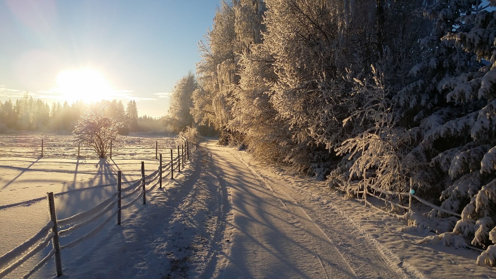 Ridespor rundt eiendommen. Galleribilde