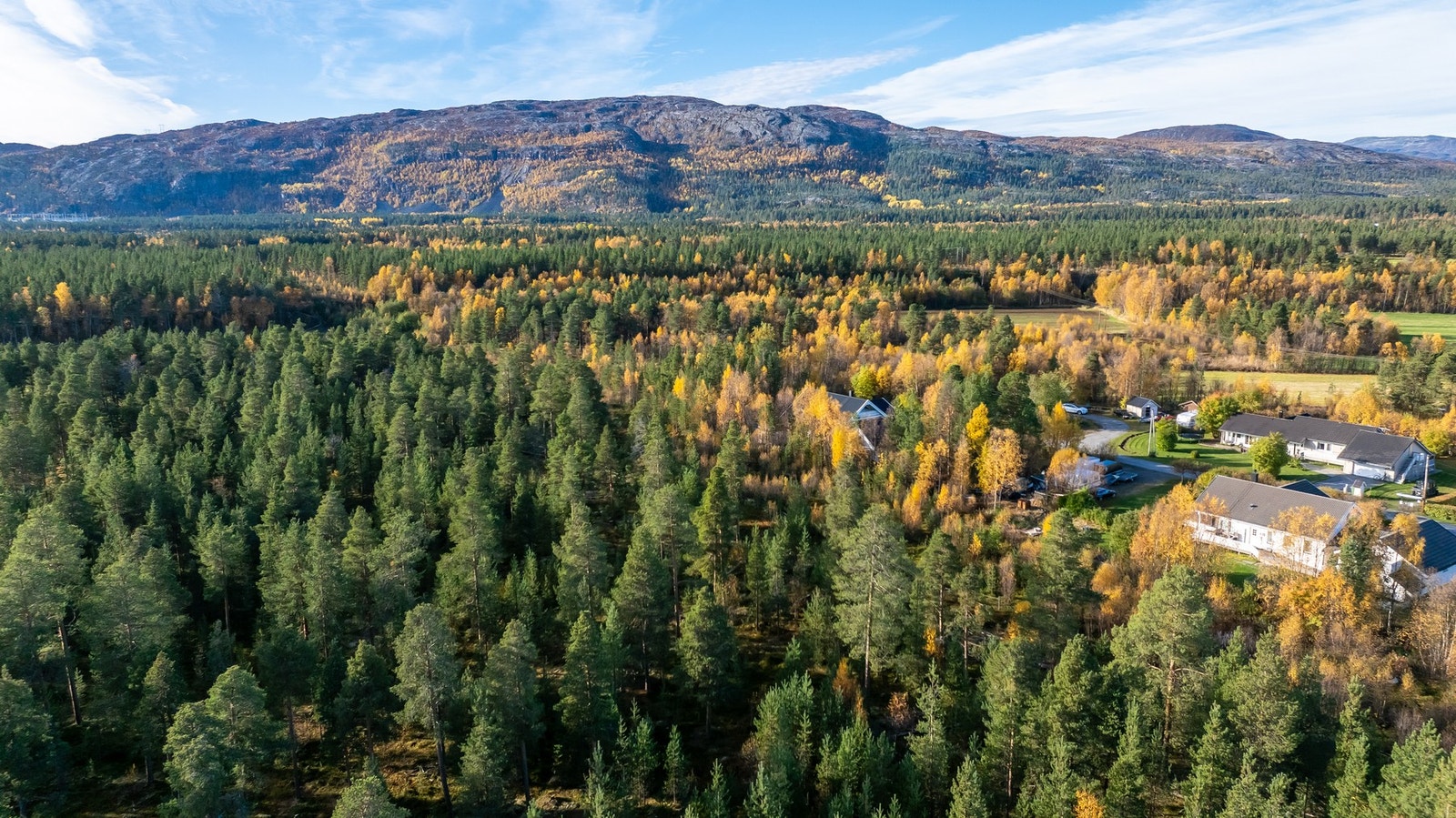 Dronefoto av tomten og nærområdet Galleribilde
