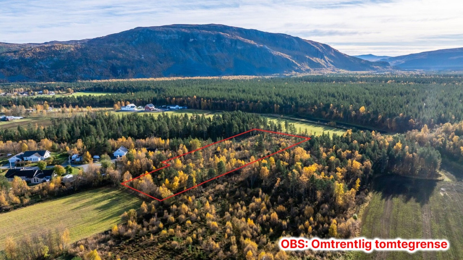 Tomten er avsatt til fremtidig boligbebyggelse Galleribilde