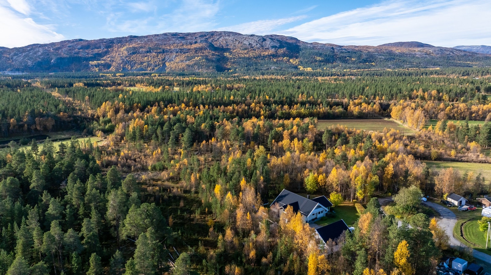 Dronefoto av tomten og nærområdet Galleribilde